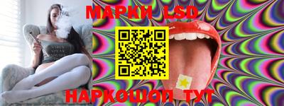 шишки Будённовск