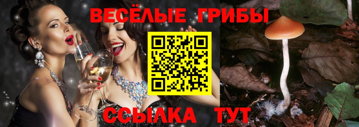 Галлюциногенные грибы ЛСД Норильск